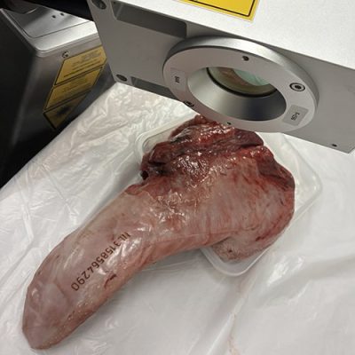 De toekomst van de vleesverwerking wordt met laserprecisie geschreven